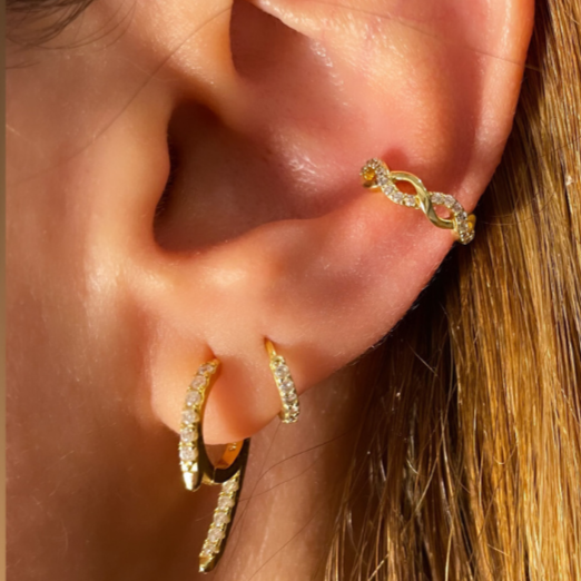 Chara Fake Conch Hypoallerginic