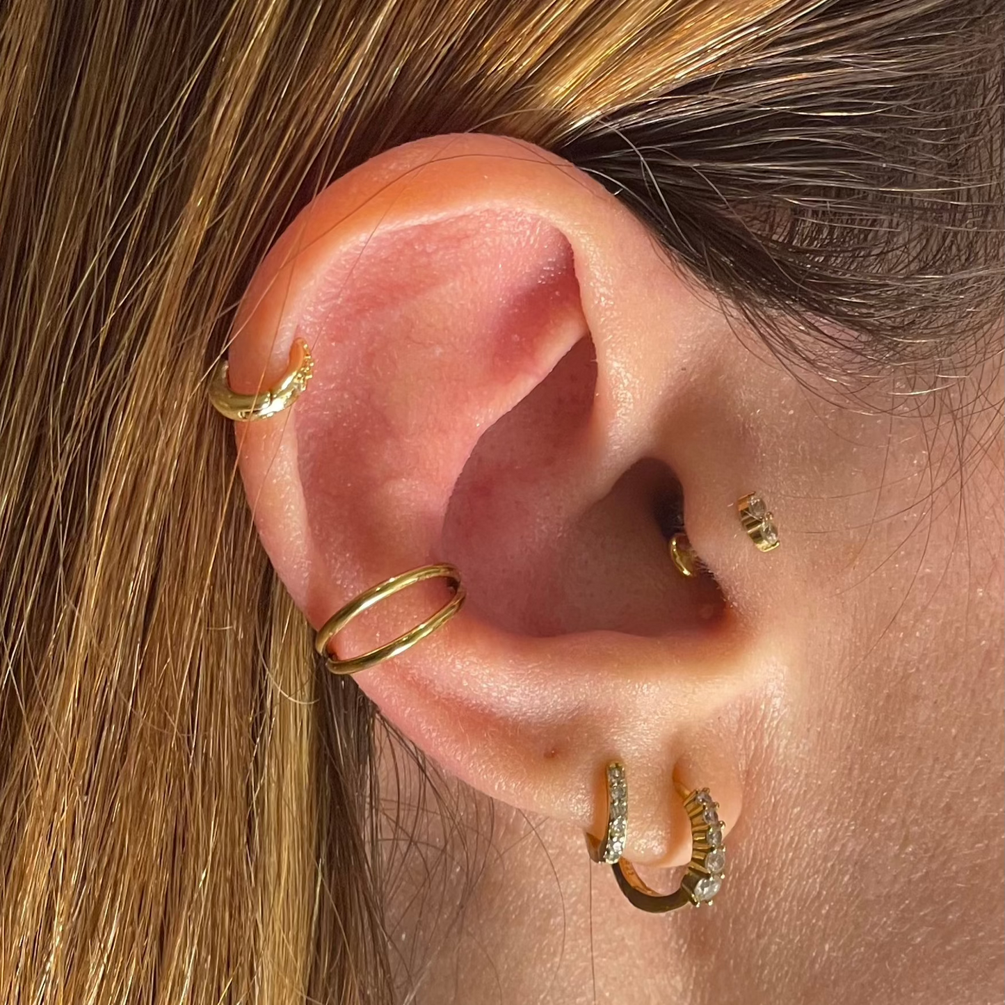 Surgical Steel Double Hoop Conch (1.2mmx10mm)